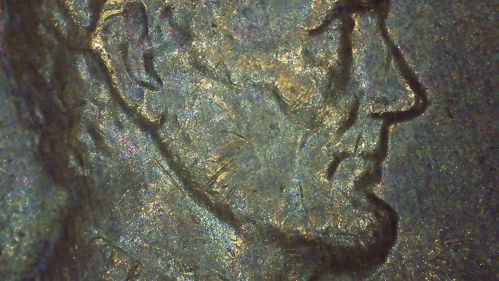 1979 D Lincoln Penny error repunched mintmark