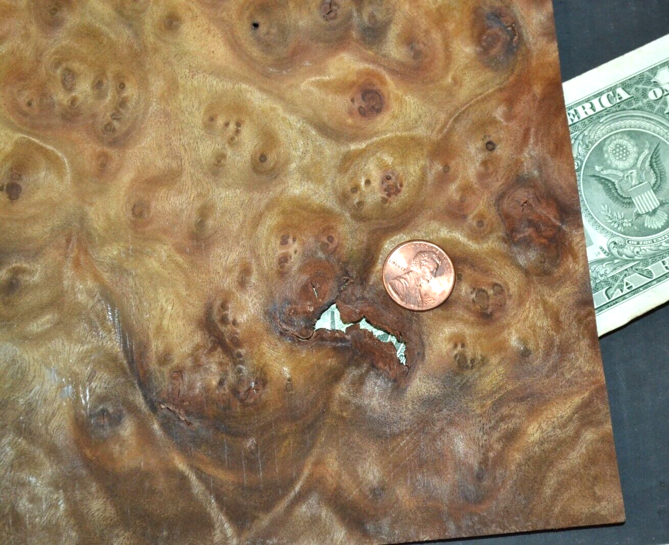 Camphor Burl Raw Wood Veneer Sheet 11.5 x 14.5 inches 1/42nd thick 4672-83