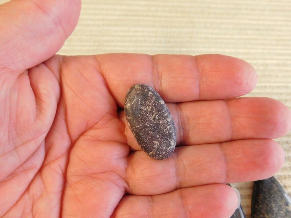 Dinosaur Bone Cabochons - 4 pcs