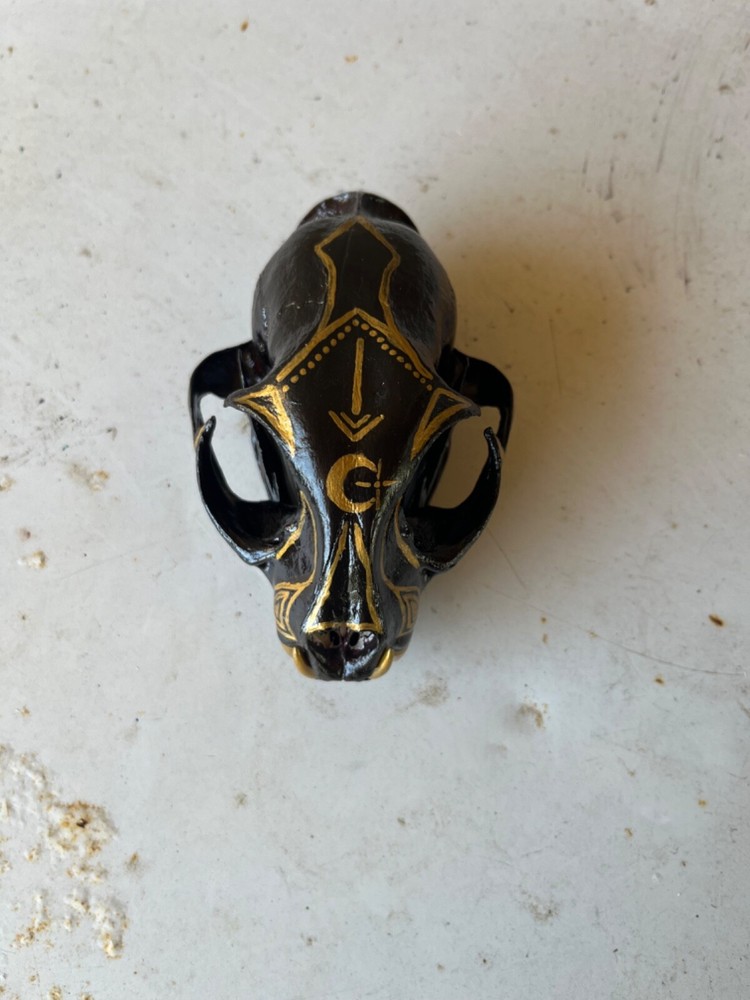 Painted Bobcat Skull please read description
