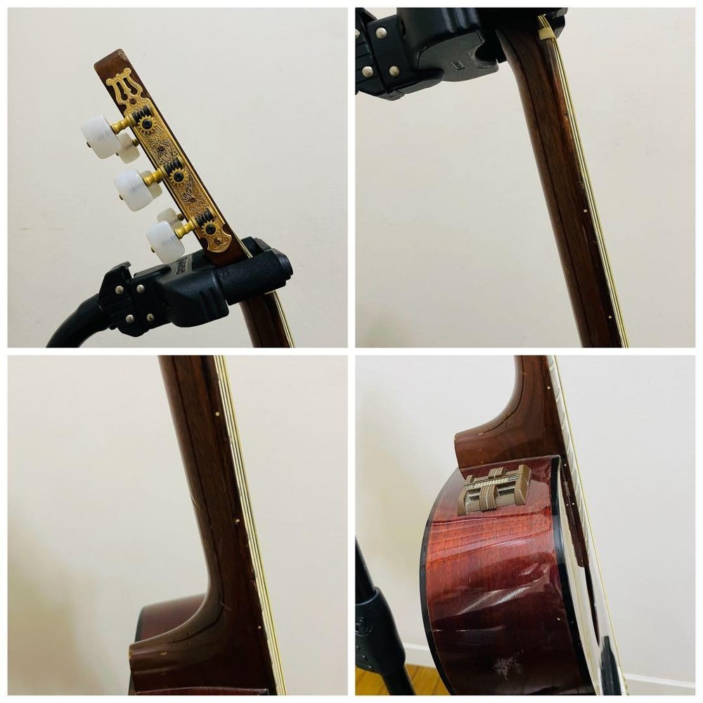 Takamine PTN-006 Classical Guitar