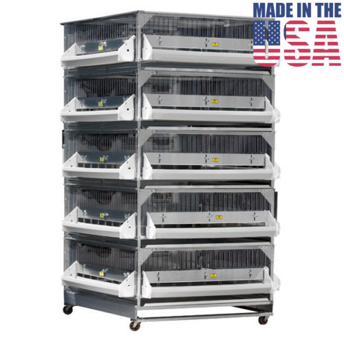 Brooder GQF Battery Brooder Deck Game Bird Poultry 5 Box Brooder 0540 Poultry
