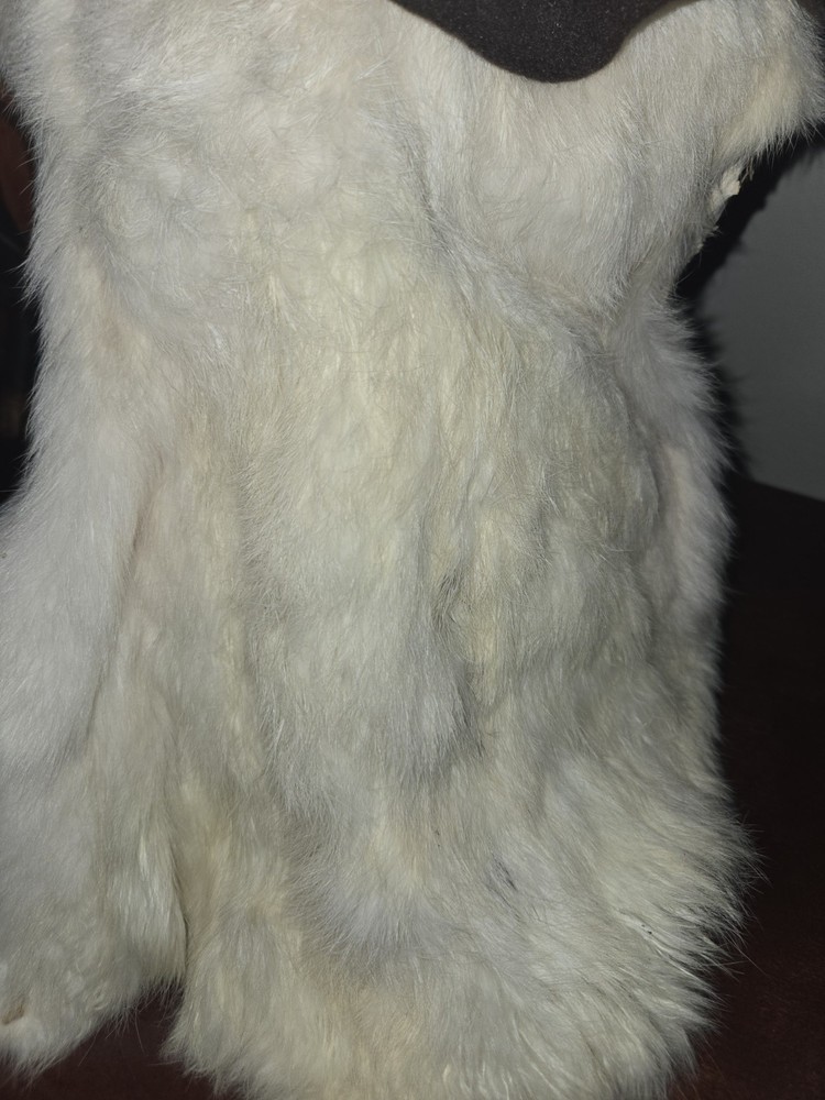 Bear Boone