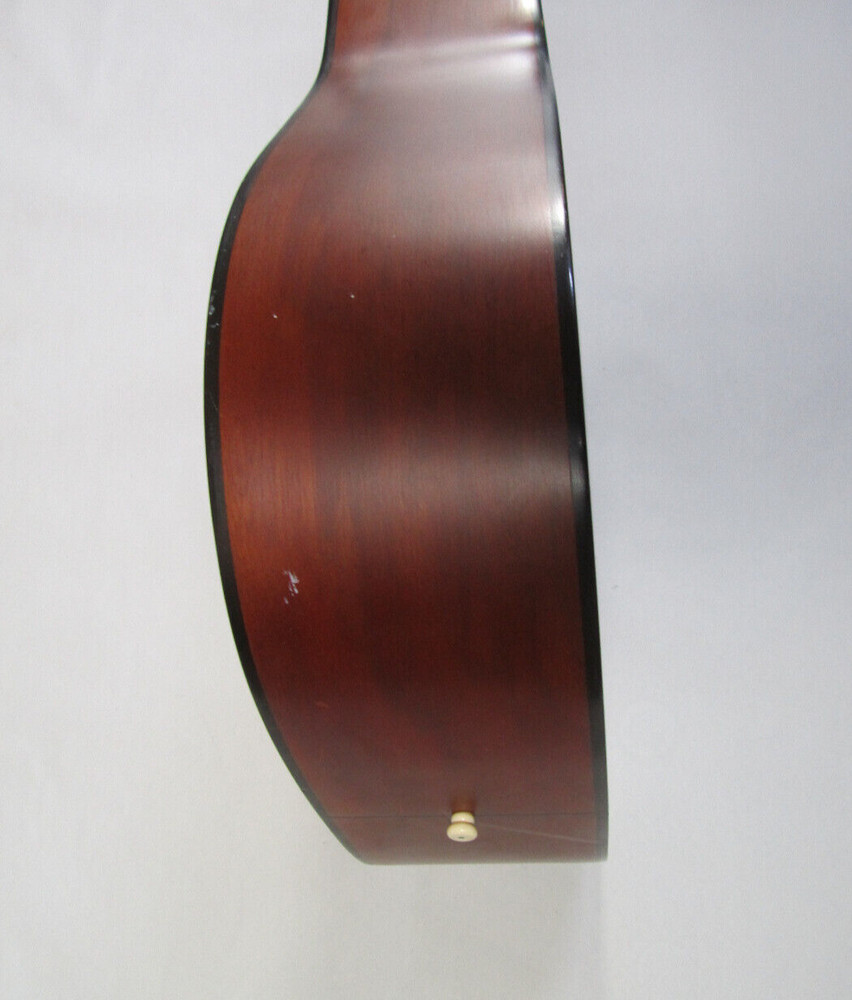 Ibanez Acoustic Guitar 6 String Model PF5