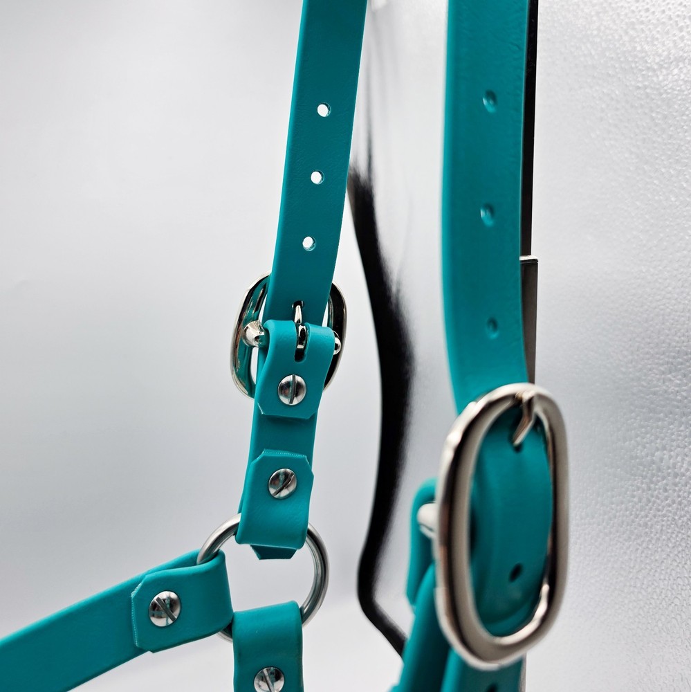 Biothane Horse Halter - Dragonfly