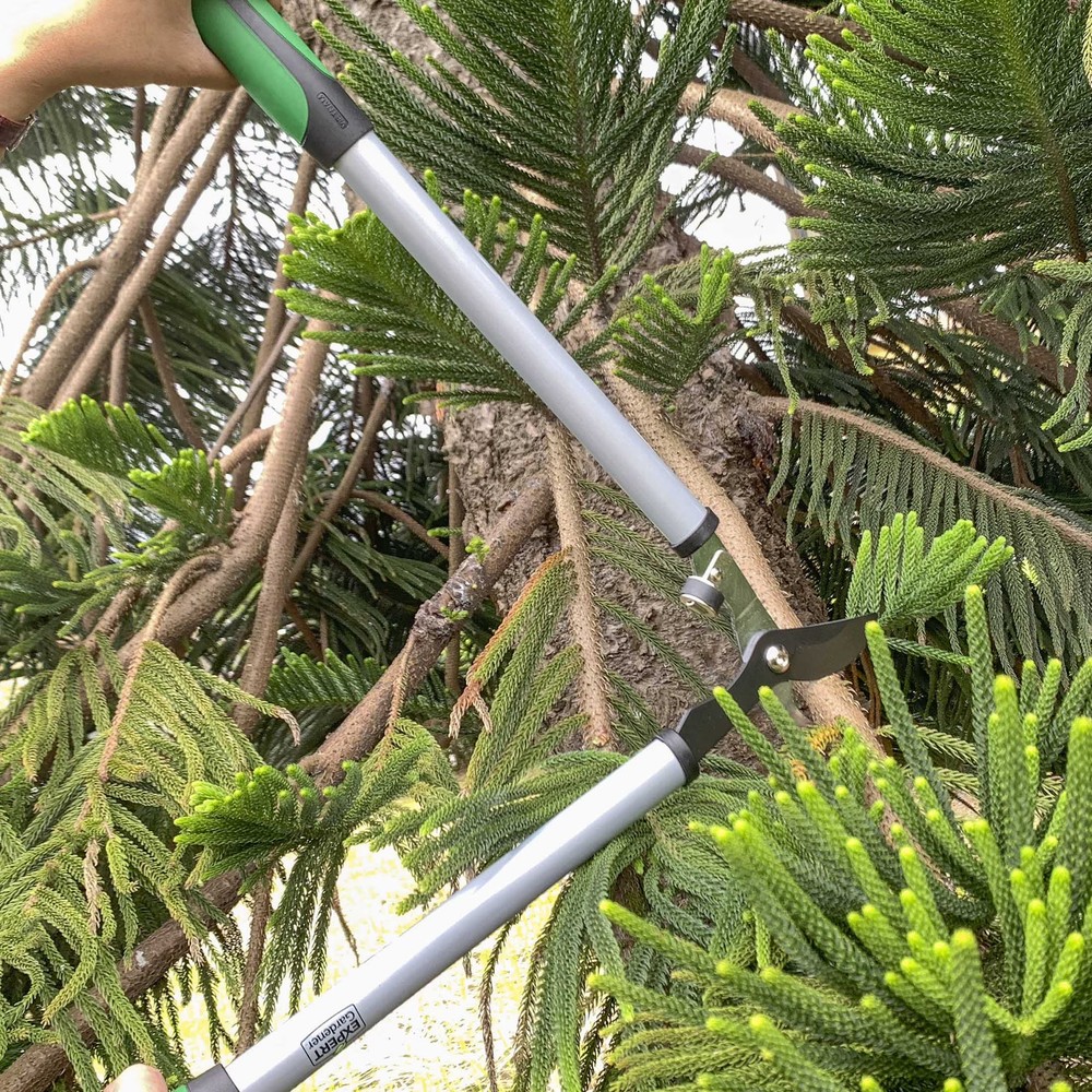 Steel Bypass Lopper Cutting Capacity