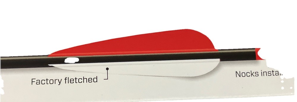 Beeman 20” crossbow Bolts