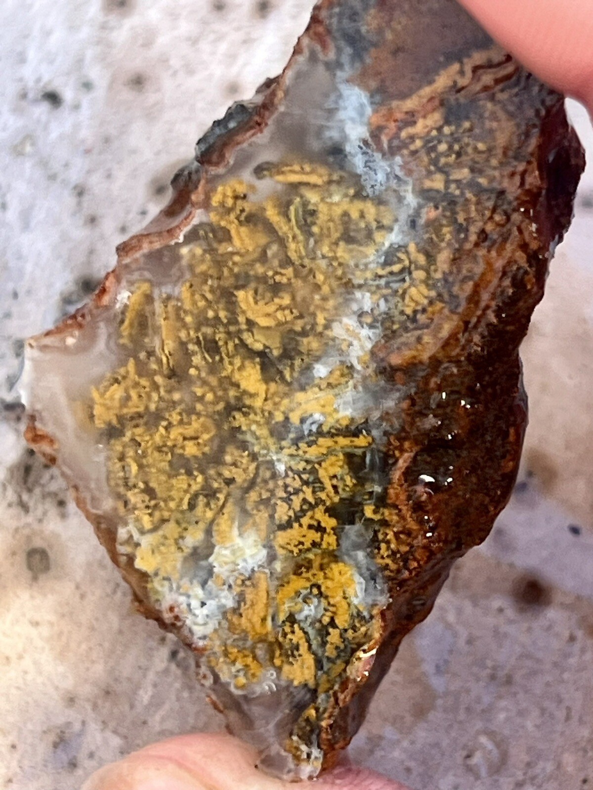 Large Flat Rate Bulk Old Stock Rough 1950's GemStone Mineral Lapidary Collection