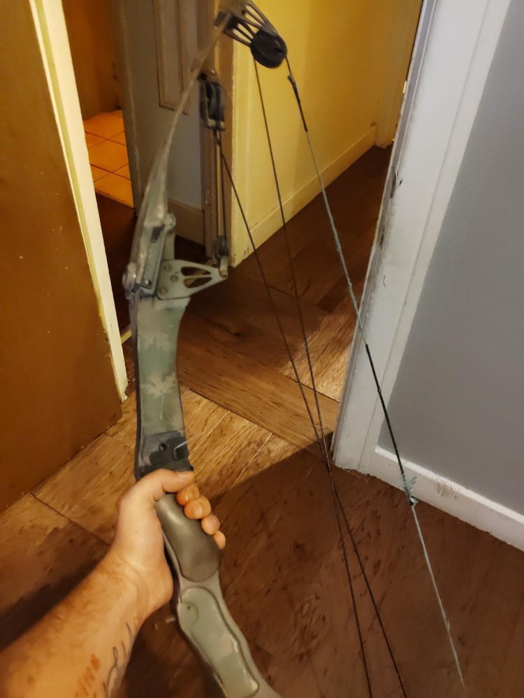 2 Compound Bows both Needs New String $100