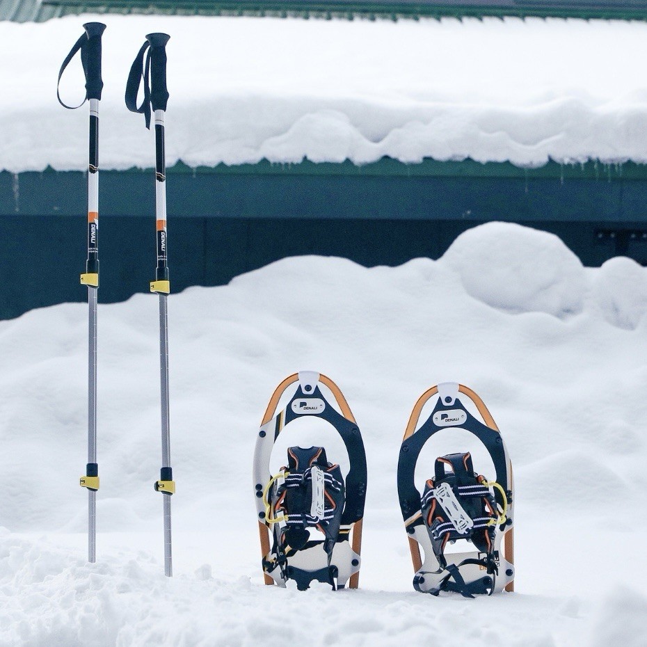 Denali Pro Snowshoes 8x21 Winter Hiking Kit w/ Poles & Carry Bag – 150 lb Rated