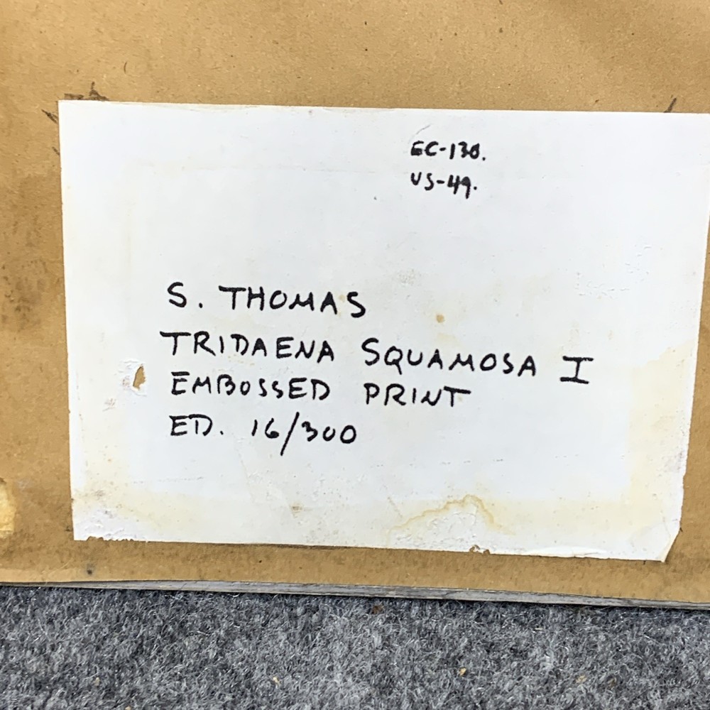 Suzanne Thomas Framed Tridaena Squamosa I Embossed Shell Signed Artist’s Proof