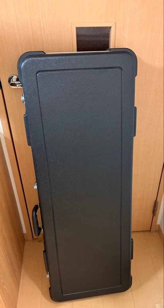Edwards E-TE-100MLT Telecaster type Safe Packing!