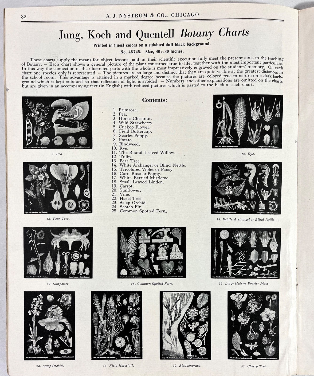 Rare 1928 A.J Nystrom Sales Catalog FB-28 Europe Charts Biology Medical Anatomy