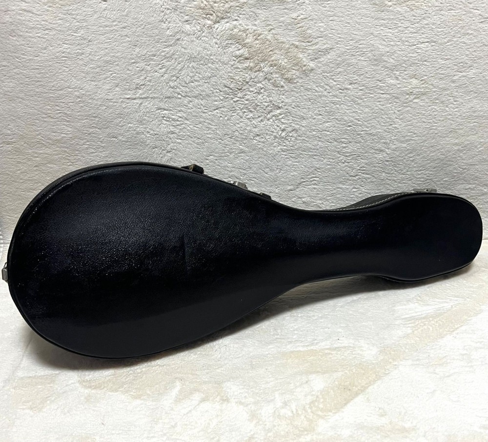 SUZUKI Mandolin M-30 with hard case