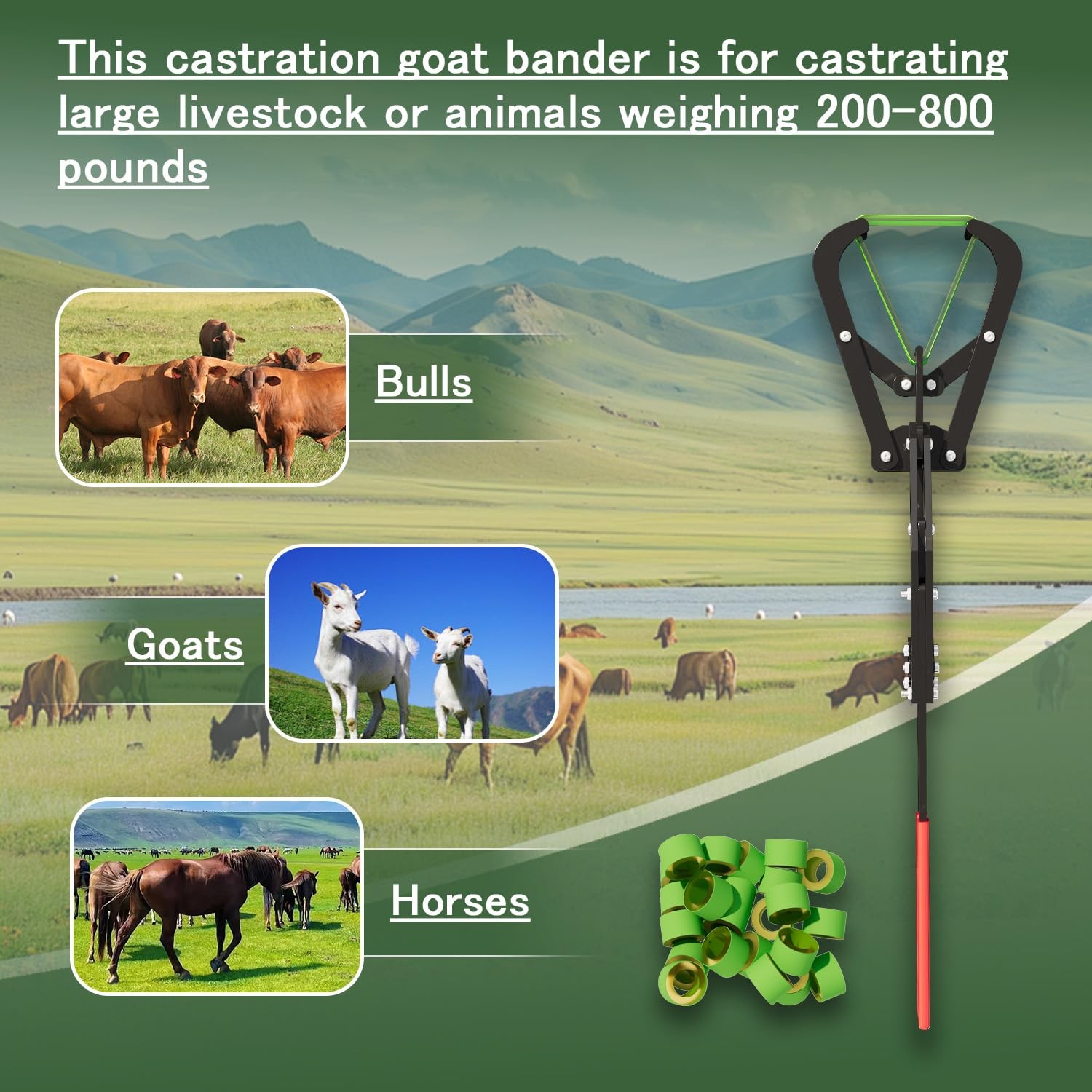 Extra Large Castration Banding Tool, Cattle Goat Bander with 24 Castration Bands