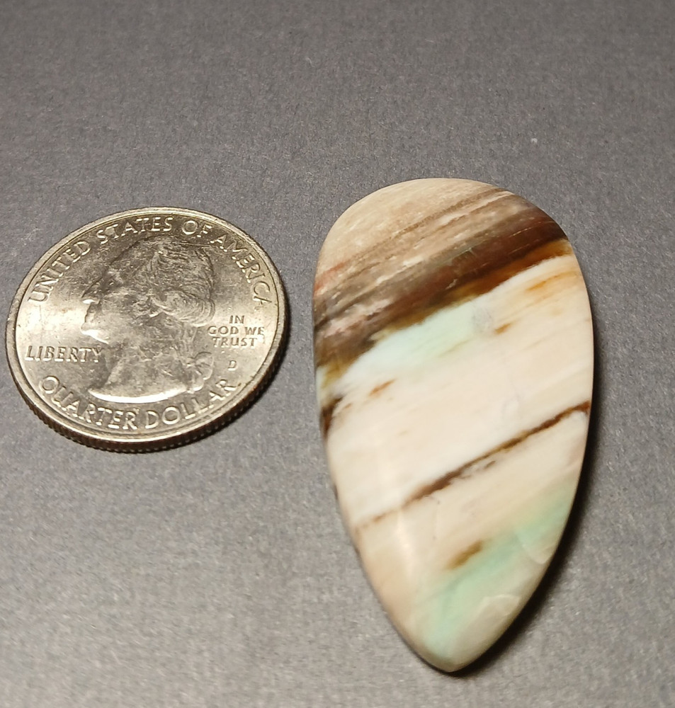 Turkish Colla Wood Cabochon