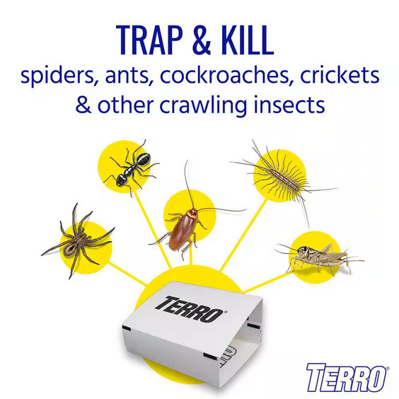 TERRO Non-Toxic Spider and Insect Trap (16-Count)