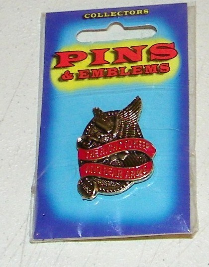 The Right To Keep And Bear Arms Pin Second Amendment American Eagle  NEW