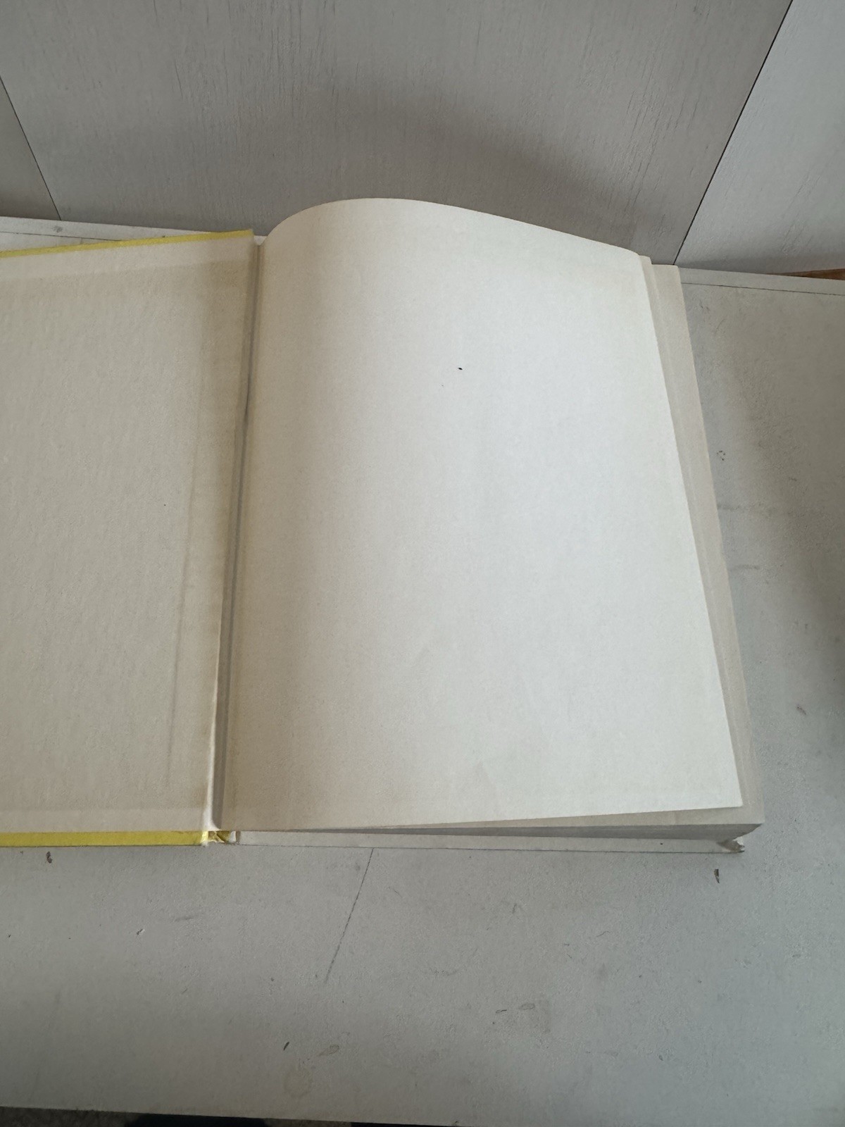 Webster's Elementary Dictionary 1980 Yellow Cover