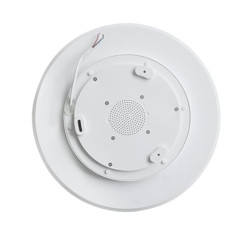 24W LED Flush Mount Ceiling Light with Bluetooth Speaker & Remote Control, RGB C