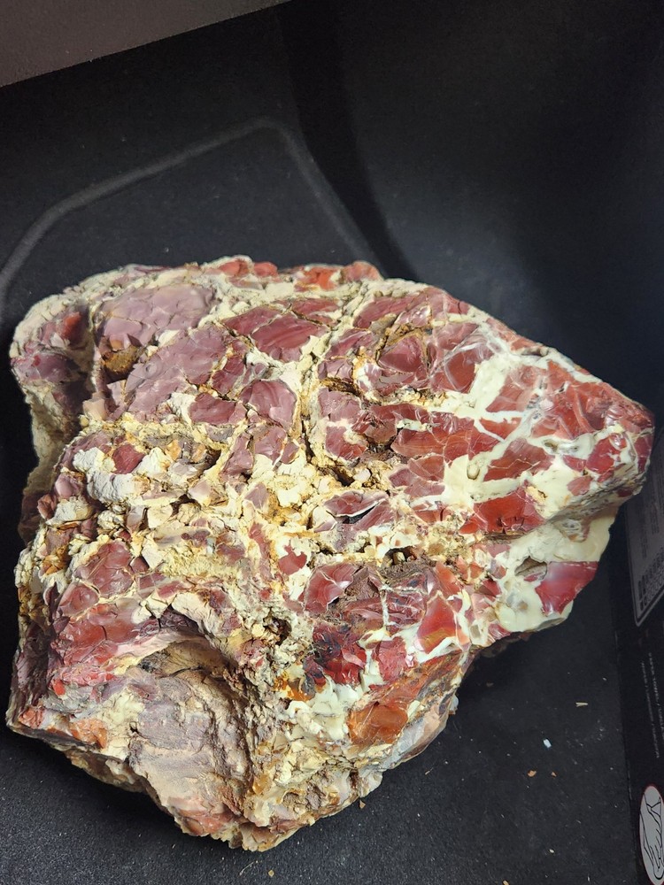 brecciated jasper large rough rock 16 x 10 Beautiful patterns