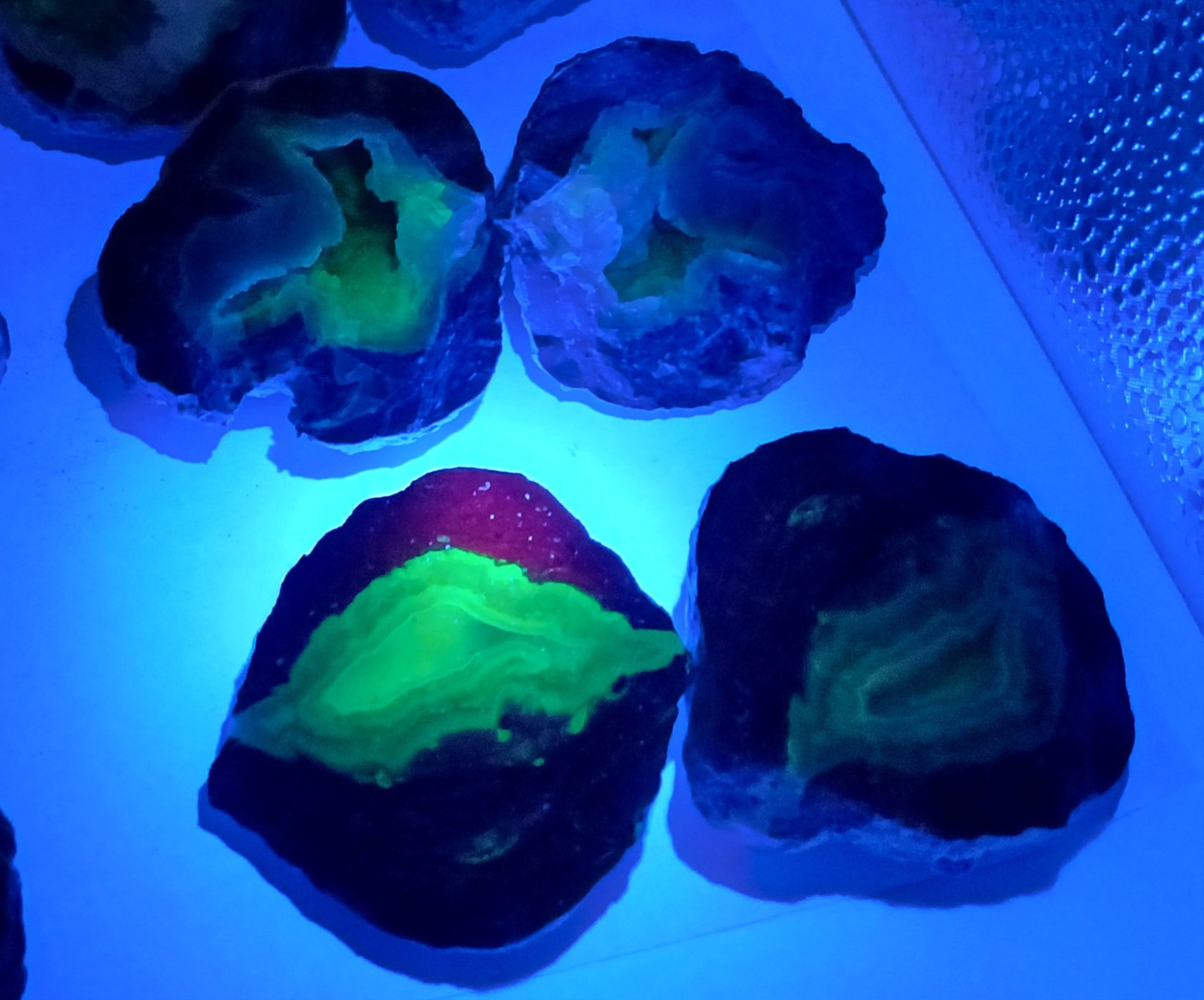 Bulk 2 Pound Group of Small Utah Dugway Geodes Thundereggs 1.50-2.00"