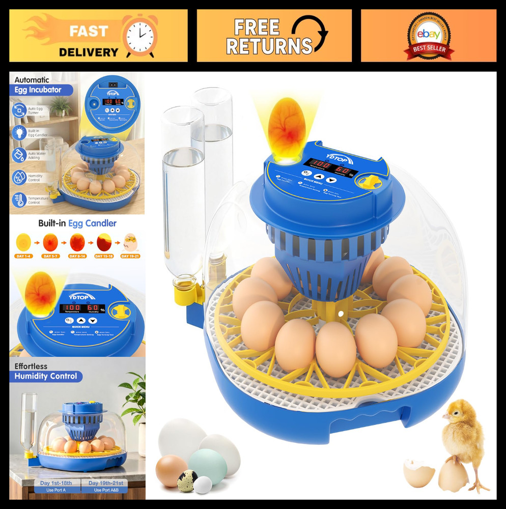 12 Egg Incubator for Hatching - Automatic Turning, Humidity Control, 360° View,