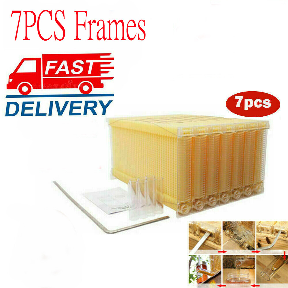 7x Auto Plastic Beekeeping Frames Honey Comb Frames For Beehive House Boxes US