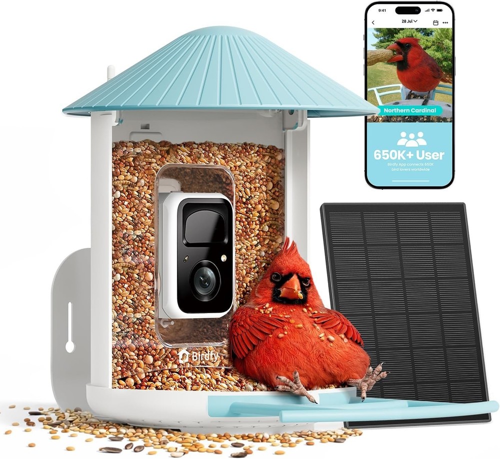 Wireless Bird Feeder with Color Night Vision