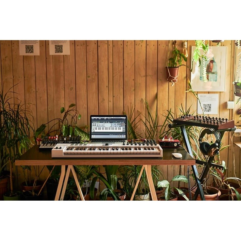 MIDI Keyboard Controller W/ Arpeggiator Scale Mode DAW Integration LCD Display
