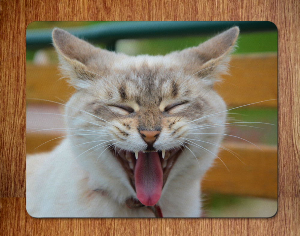 Cat Mouse Pad