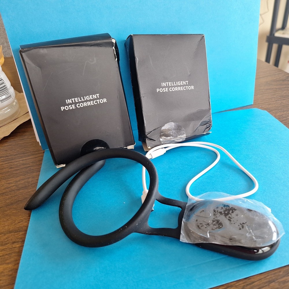 2 INTELLIGENT POSE CORRECTORS