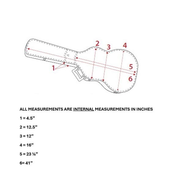 COOL DECOUPAGED PLUSH LINED HARD-SHELL GUITAR CASE HSC
