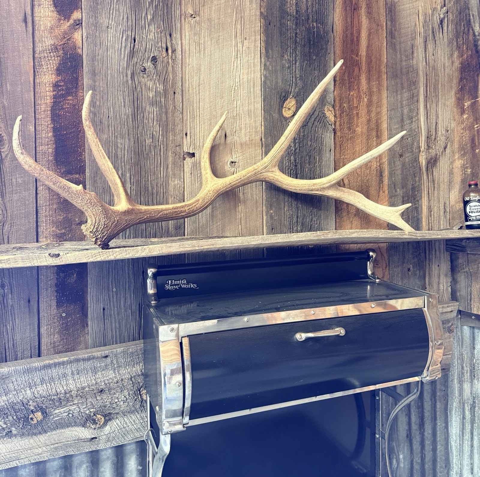 7pt Elk Shed ~ Elk Antler ~ Decor