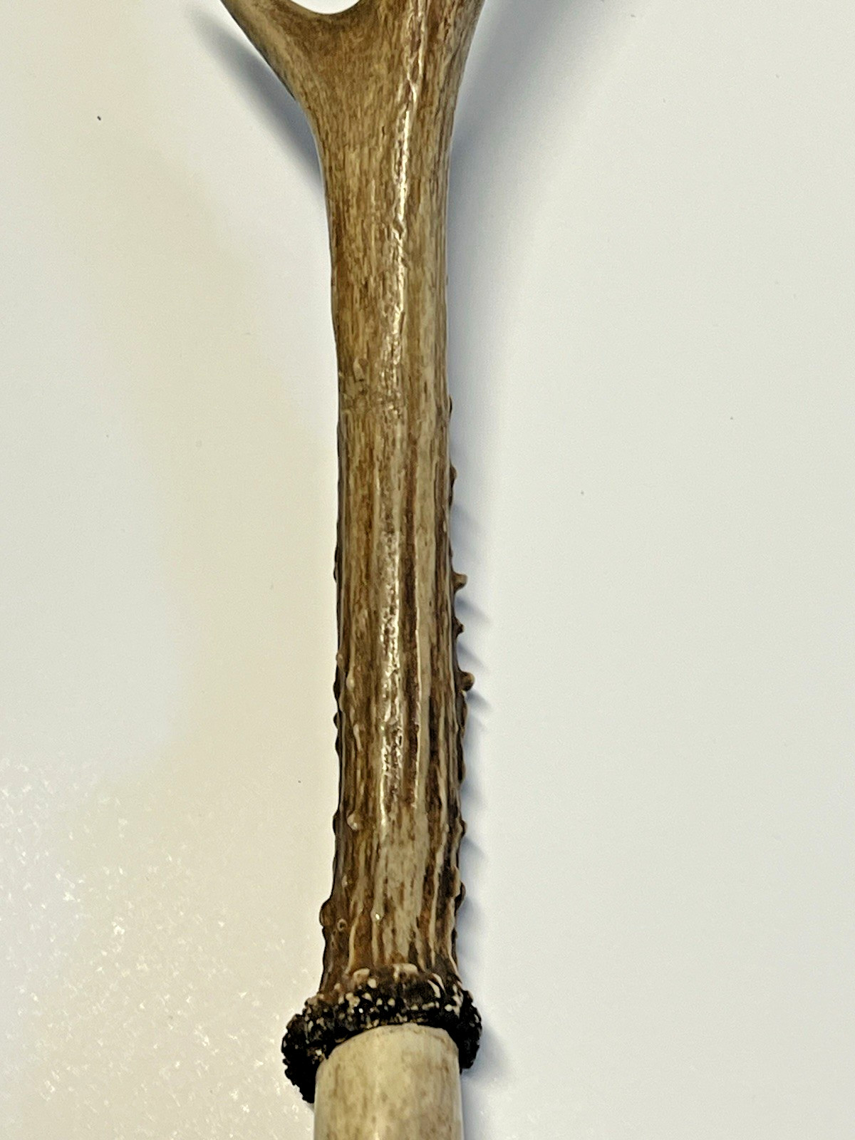 Antique Original Native American Indian Ceremonial Deer Antler Brush;