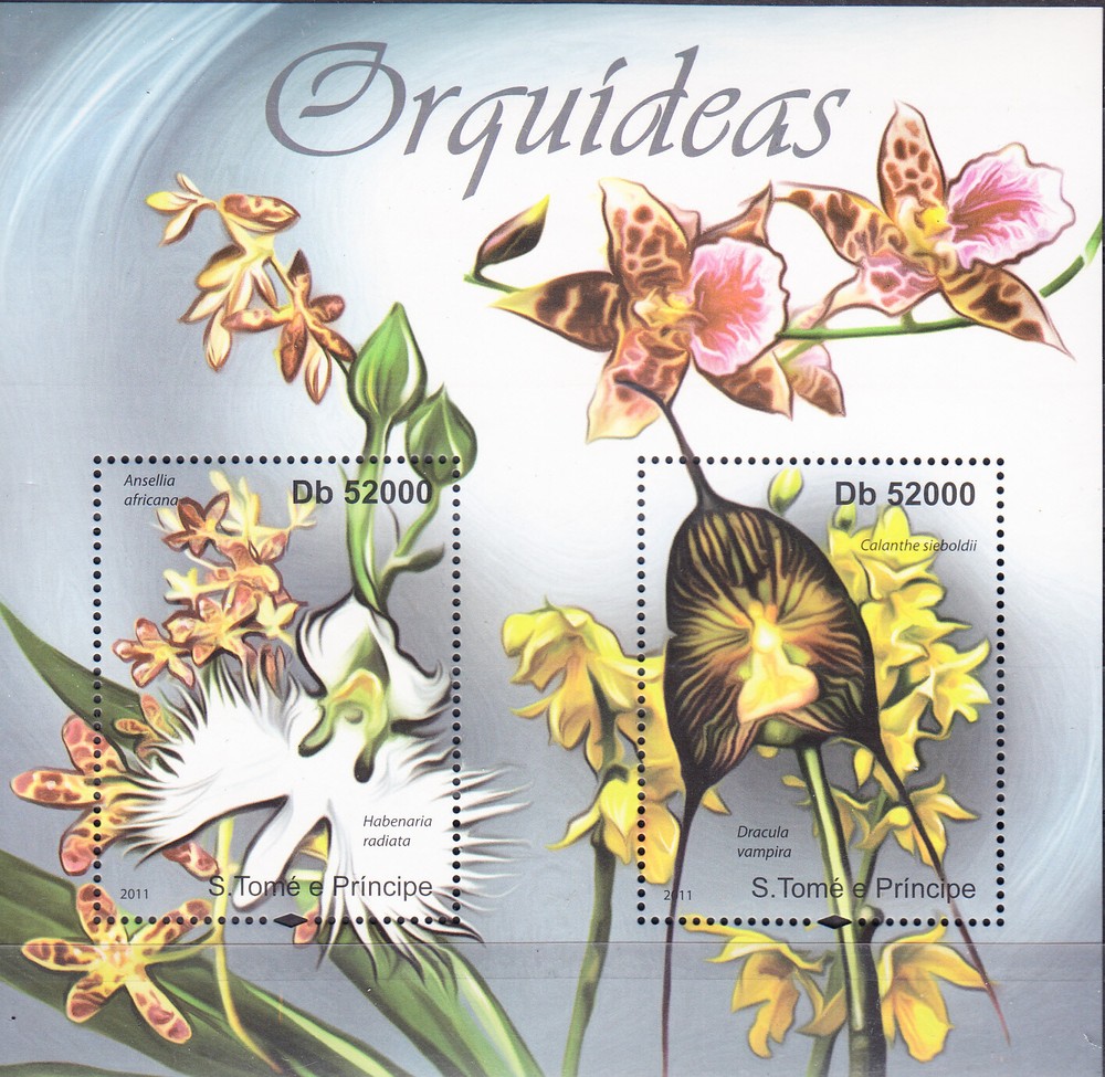 W SAINT-THOMAS 2416 ORCHIDS