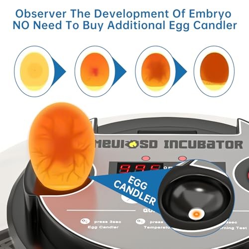 12-24 Egg Incubator with Humidity Display, Egg Candler, Automatic Egg Red