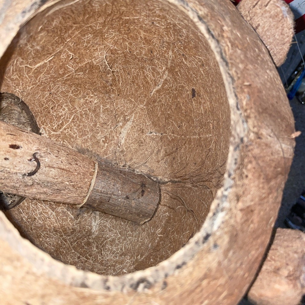 Handcrafted coconut shell Turtle