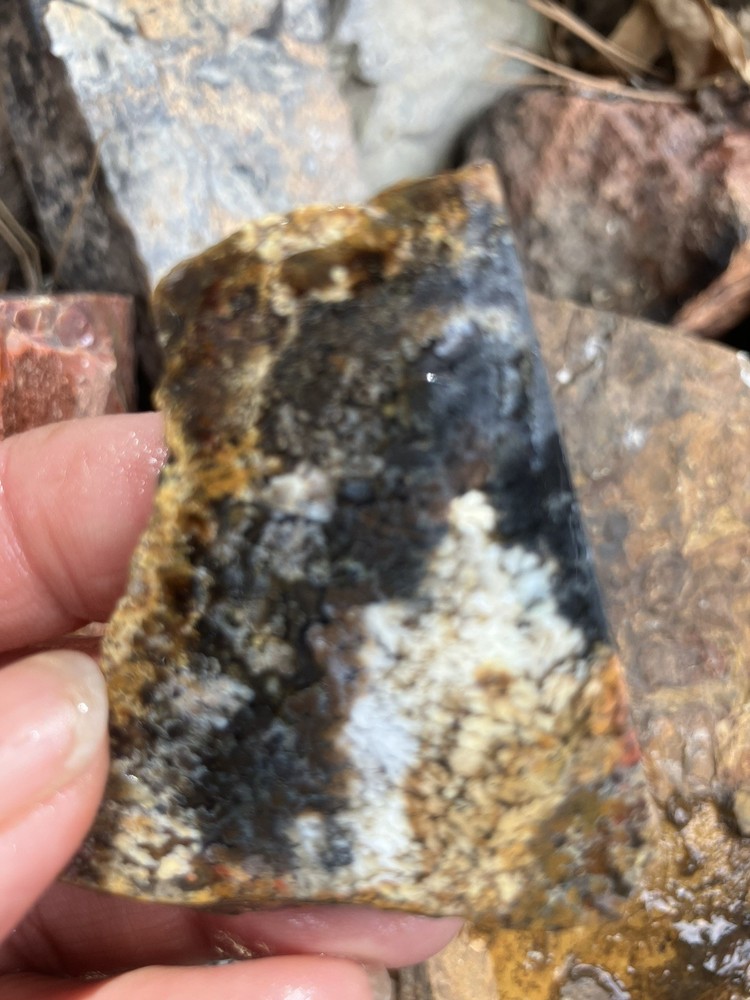 Priday Plume Agate Slab (Oregon)