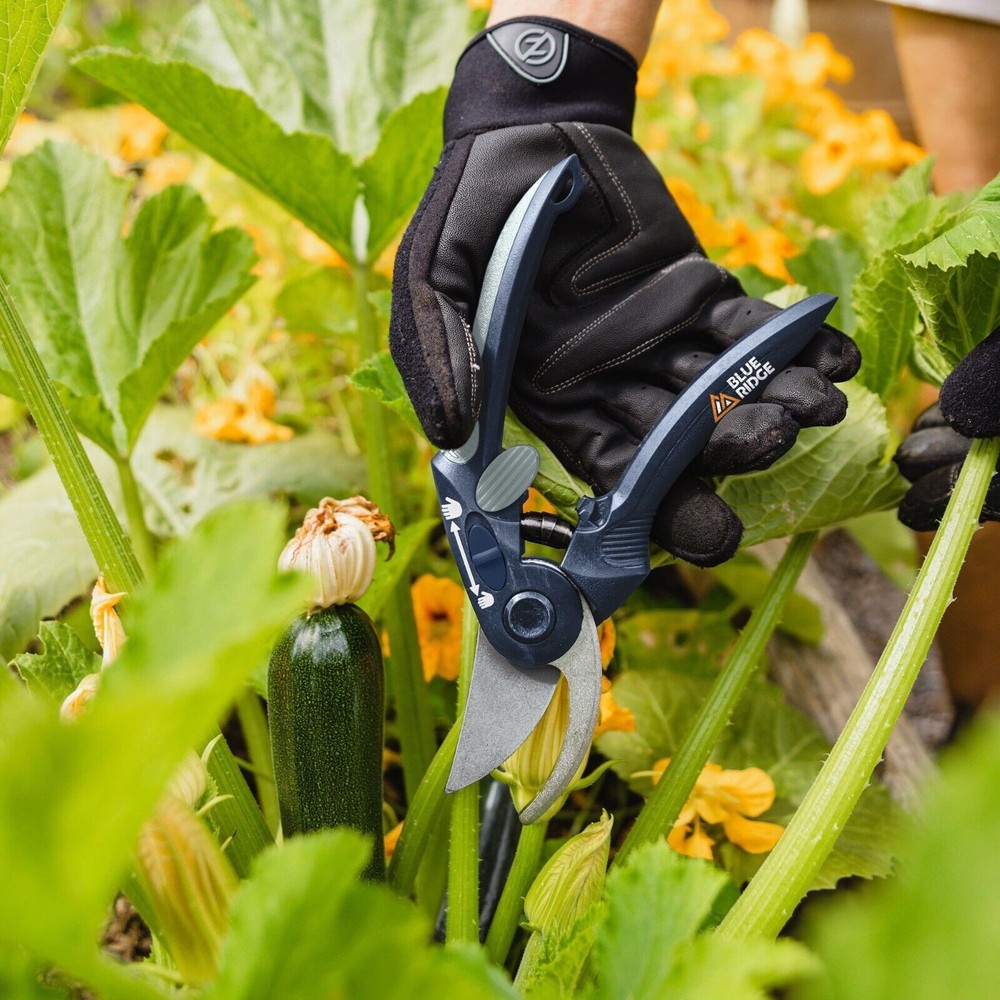 Blue Ridge 3/4" Bypass Hand Pruner (BR9272U)
