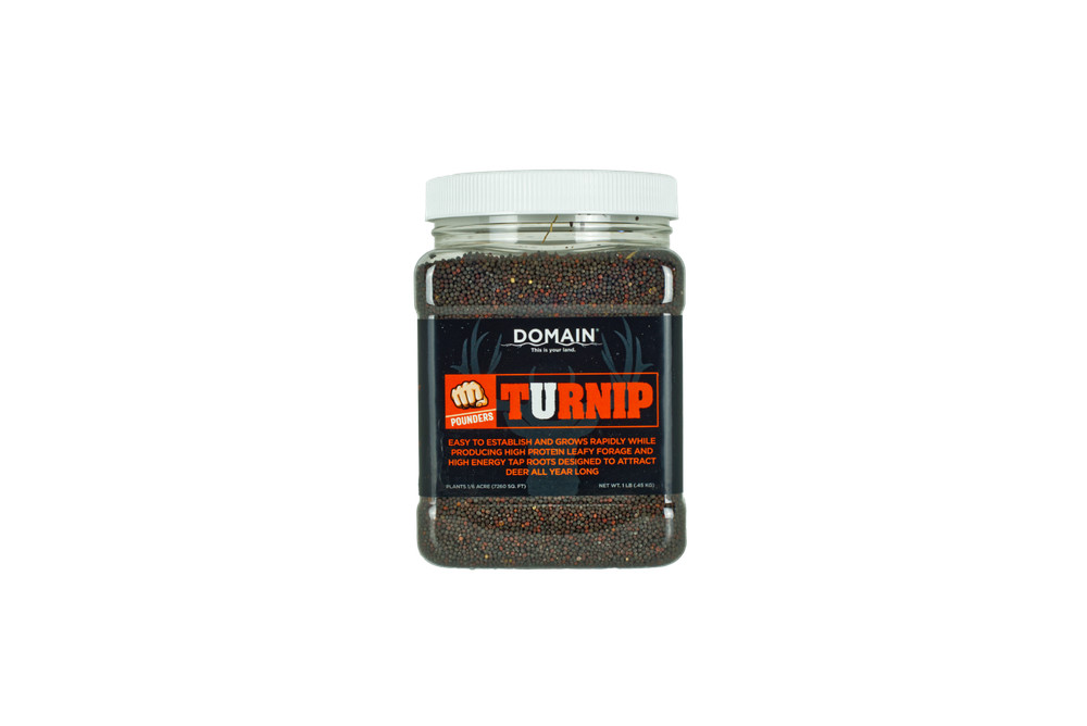 Domain Turnip Food Plot Seed, 1/6 acre