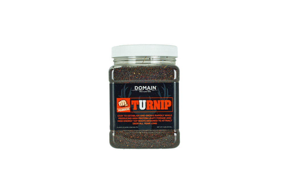 Domain Turnip Food Plot Seed, 1/6 acre