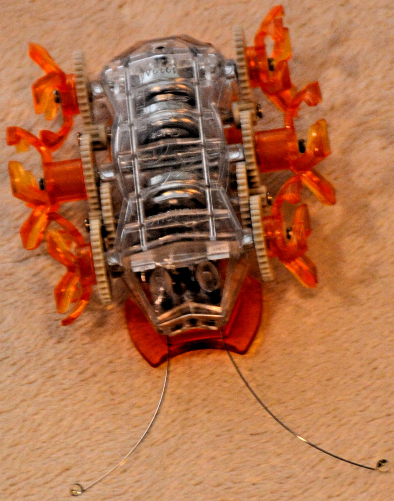 Hexbug Robotic Toys Micro Ant Spider Beetle Insect Creatures Remote Tech Scarab2