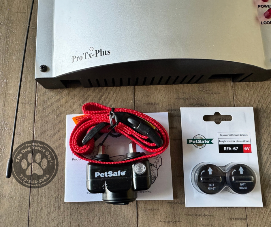 PetSafe Pro-TX1 Plus System w/ 10k Receiver Collar and Training Remote