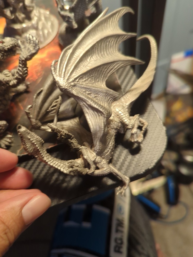 Tom Meier Dragon Rider