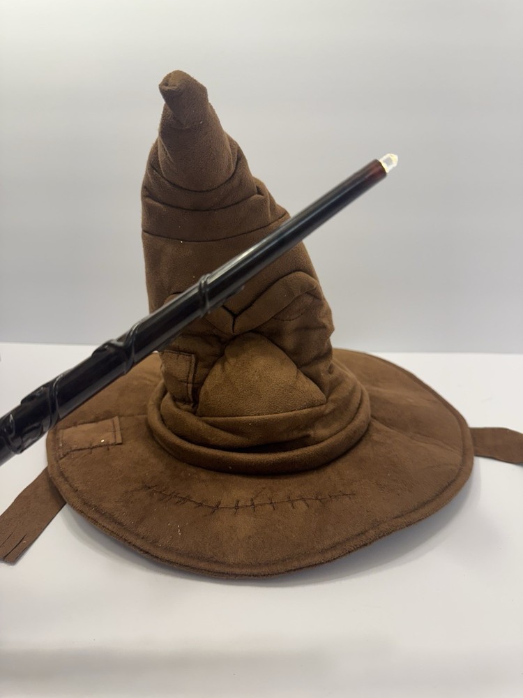 Hellmark Harry Potter's Sorting Hat and Wand
