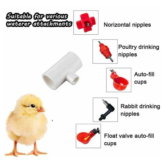 1/2" PVC Tee Automatic Poultry Waterer Drinker Cups Chicken Water Nipples