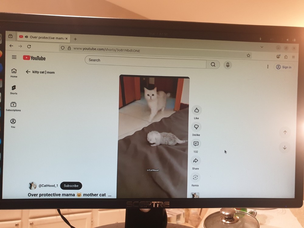 Linux Ubuntu 25.10, 64-bit, Bootable Live and Install USB Flash Drive