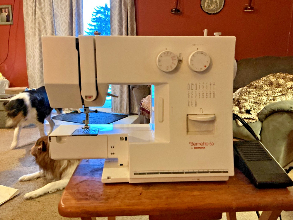 Bernette 50 for Bernina Sewing Machine.