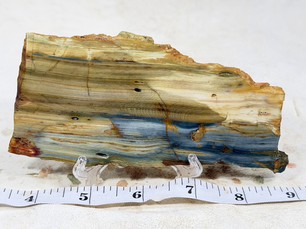 Larsonite(Gary Green, Greedom)jasper Slab, Lot#144
